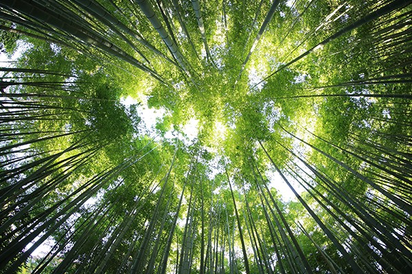 sustainability_02